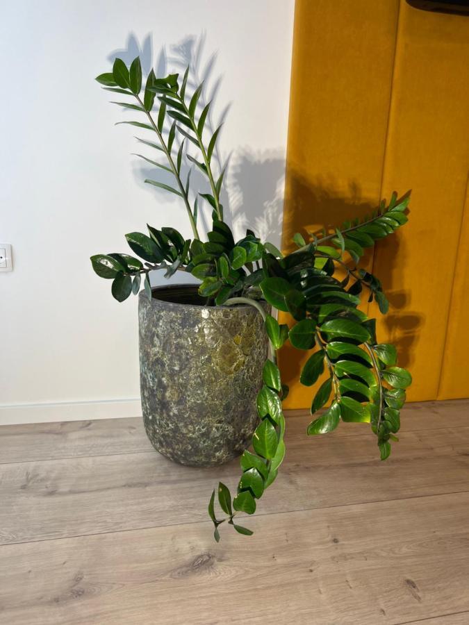 Sofia Apartment & Zimmer Sillweg Naehe Rebull Ring Fohnsdorf Ngoại thất bức ảnh
